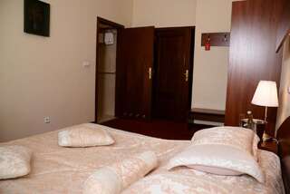 Отель Hotel Zamkowy Валбжих Двухместный номер с 1 кроватью или 2 отдельными кроватями-9