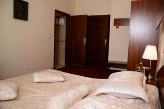 Отель Hotel Zamkowy Валбжих Двухместный номер с 1 кроватью или 2 отдельными кроватями-15